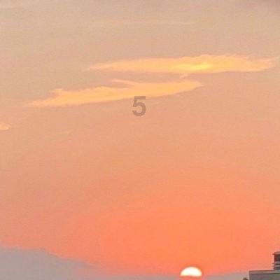 王思聪讽刺清华学霸章泽天，刘强东：你家里的贷款还完了吗？如何看待？